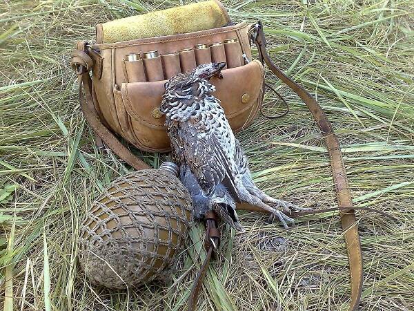 Охота на рябчика