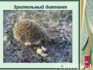 Зрительный диктант Мелькнуло солнце из-за туч?, И был горяч? последний луч?. Ста