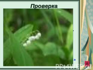 Проверка Мелькнуло солнце из-за туч_, И был горяч_ последний луч_. Стал вечер яс