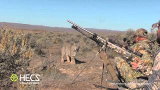 Охотники нарвались на РЫСЬ О_О(Столкновение с РЫСЬЮ. Плейлист : https://www.youtube.com/playlist?list=PLVqDad5fva_umJvI7BTx5CcN25lHz1set., 2016-03-05T01:25:02.000Z)