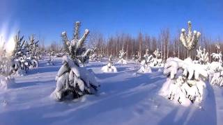 Охота на снегоходе.(Мороз больше -25, снег пухляк, надо ехать проверять капканы. Снято; 12.01.2016г., 2016-01-12T23:02:46.000Z)