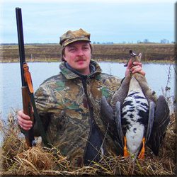 Как проходит весенний перелет гусей