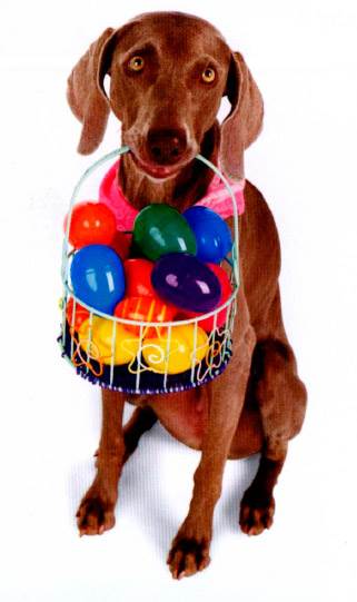 команда ищи