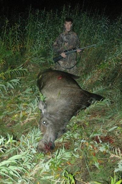 Убитый лось - Stone Forest