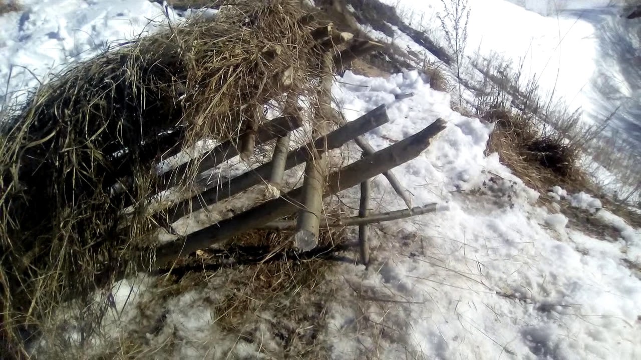 Ловушка на куропаток