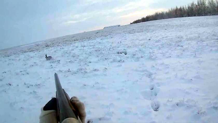 Охота на зайца троплением