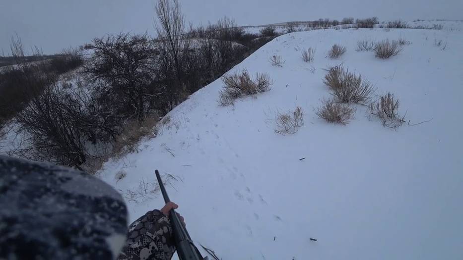 Охота на зайца из засидки