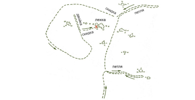 Охота на зайца троплением