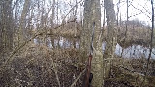 Охота #89 разговор об охоте на бобра, медведь помешал охотиться(E-mail: hunterworld777@gmail.com ○ Instagram Мир Охотника: ▻ http://www.instagram.com/hunterworld777/ ○ группа вКонтакте