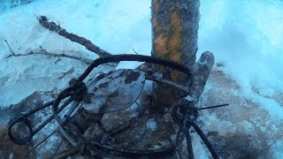 Ставим капкан на бобра под лед, с веником из осины.(Постановка капкана под лед на ствол дерева, для приманки используем веник из осиновых прутов и веток. Бобро. 2016-01-20T18:52:15.000Z)