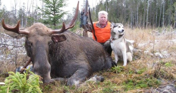 Владелец лайки непременно должен быть опытным охотником