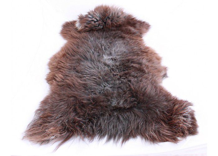 Разместите в курятнике шкуру козла: запах, исходящий от нее, будет отпугивать хоря