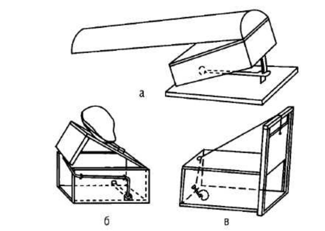 Схема постройки живоловушки своими руками