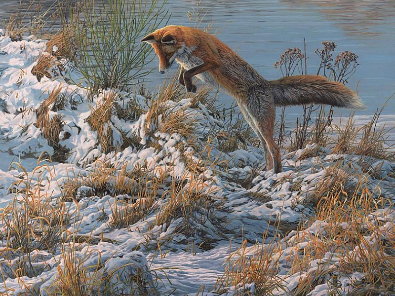 Картина с лисичкой.