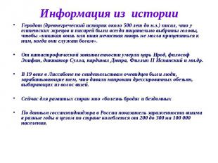 Информация из истории Геродот (древнегреческий историк около 500 лет до н.э.) пи