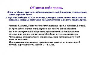 Об этом надо знать Вошь особенно опасна для благополучных людей, так как ее прив