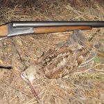 Охота на вальдшнепа на тяге