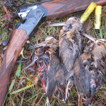 Стрельба по вальдшнепу на тяге