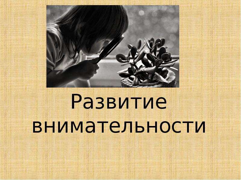 «Факторы, влияющие на успеваемость учеников» , слайд №10