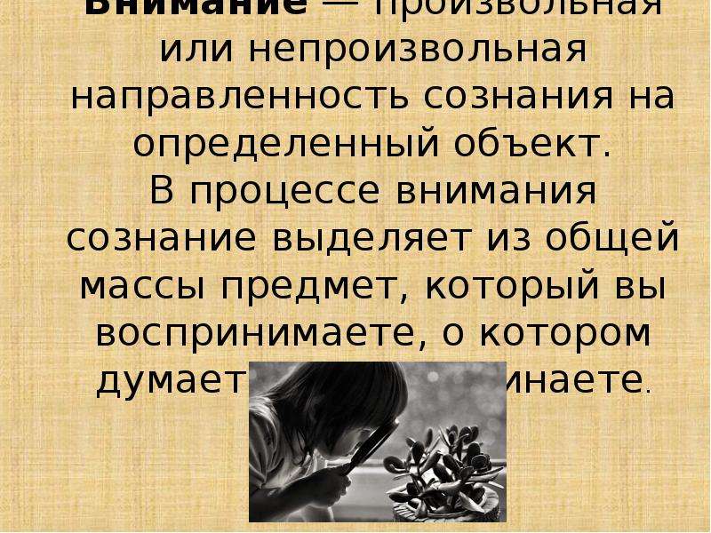 «Факторы, влияющие на успеваемость учеников» , слайд №11
