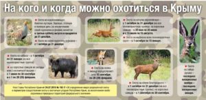 Какие дни можно охотиться на зайца в ростовской области 2019