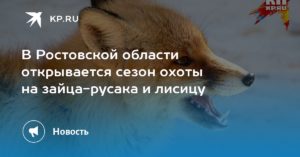 Какие дни можно охотиться на зайца в ростовской области 2019