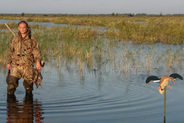 Охота на утку, осеняя охота на утку, как прицелиться в утку, как стрелять по утке, как стрелять на охоте на утку, охота на утку на перелетах, охота на утку с подхода, охота на уток с чучелами, охота на утку на пролетах, охота на утку с подъезда, дробь на охоте на утку 