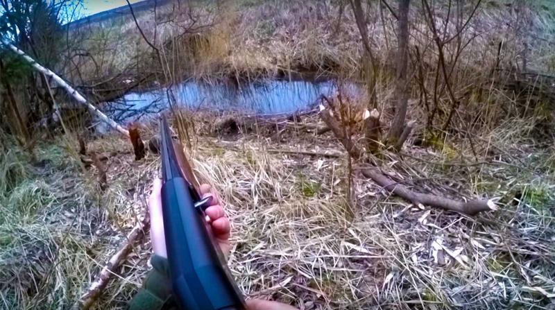 Ожидание с ружьём у водоёма