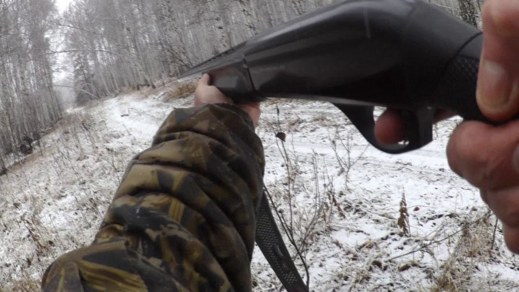 охота на косулю