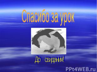 Спасибо за урокДо свидания!