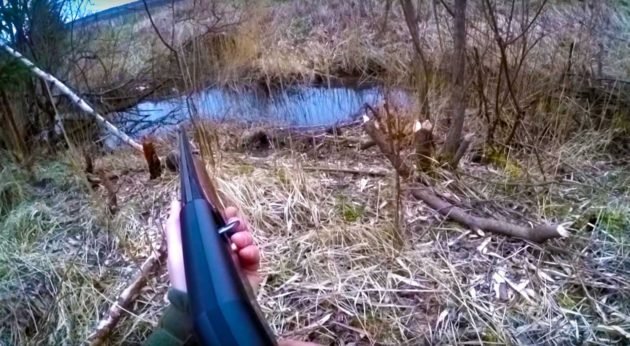 Охота из засады