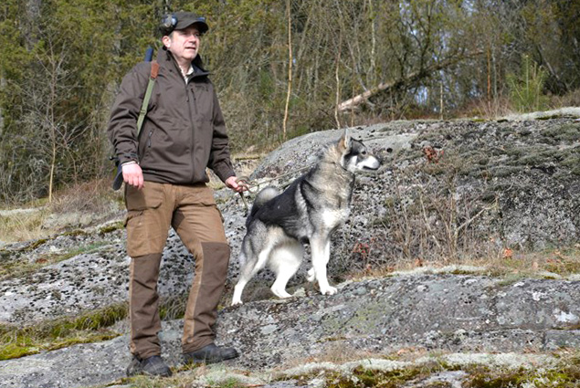 Охота на лося с лайкой