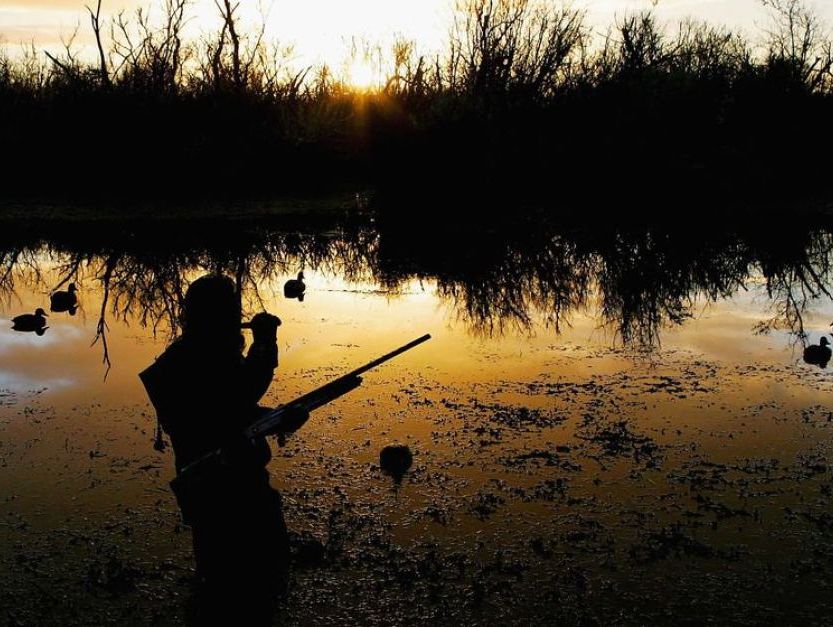 охота на уток