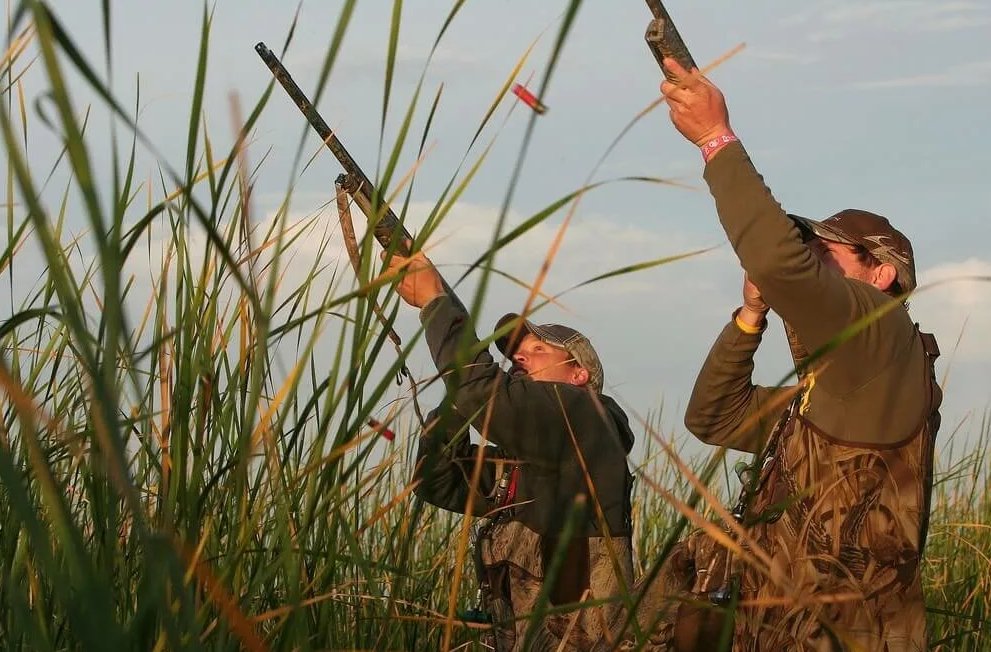 охота на уток