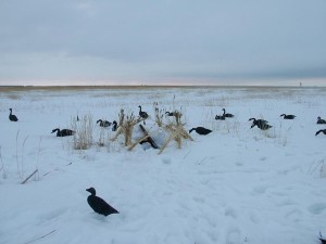 Занимательная охота на Севере