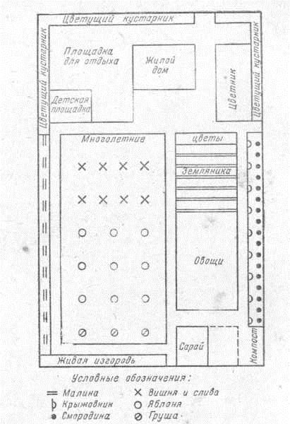 планировка сада и огорода на участке