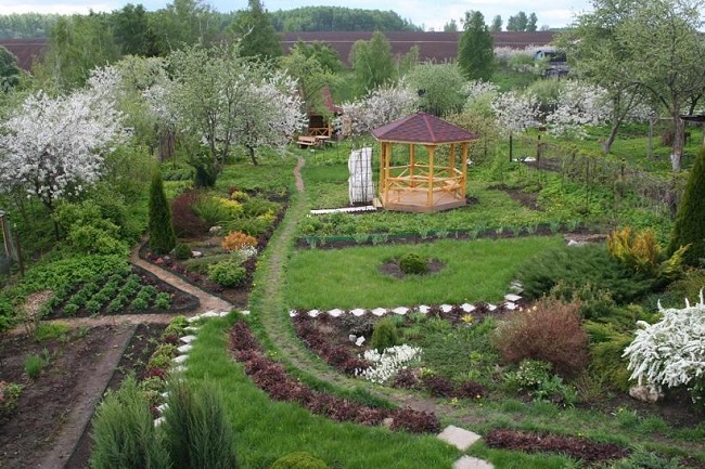 ландшафтный стиль участка