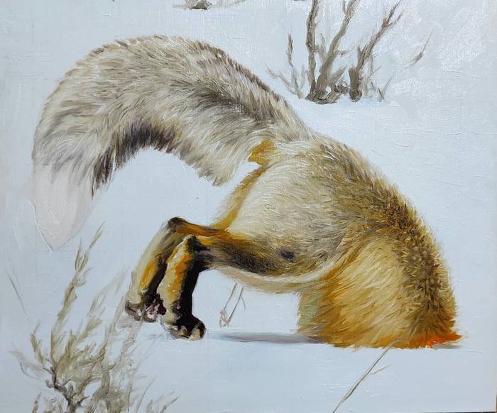 Лиса на охоте