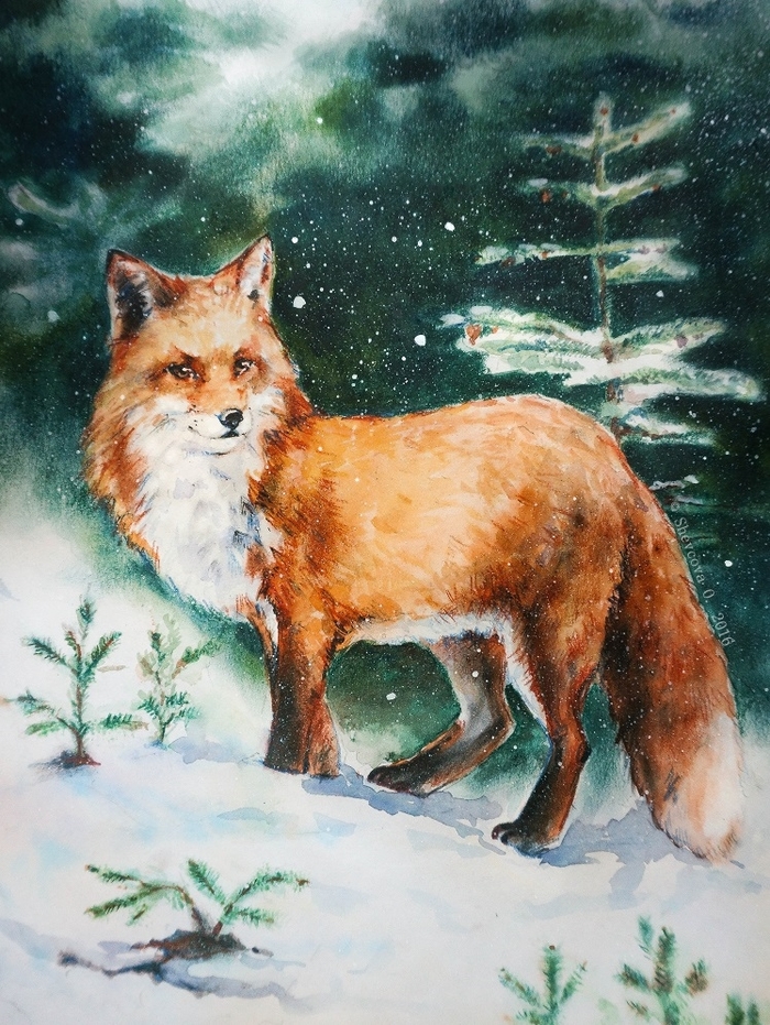Лисичка-сестричка Лиса, Животные, Иллюстрации, Рисунок, Дикие животные, Зима, Лес