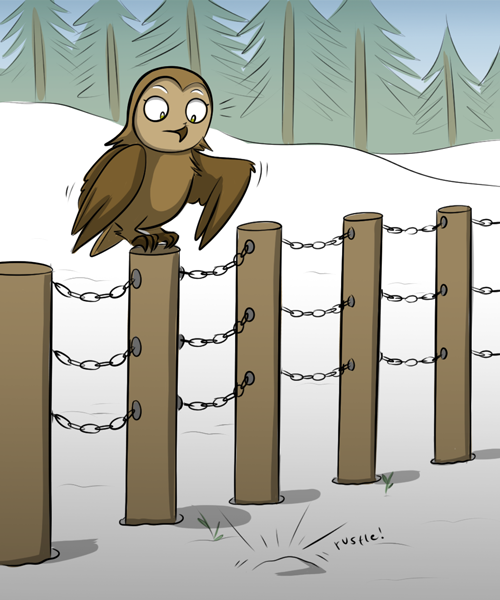 Преимущество Kat Swenski, Комиксы, Гифка с предысторией, Гифка, Сова, Лиса, Перевел сам, Длиннопост, Мышкование