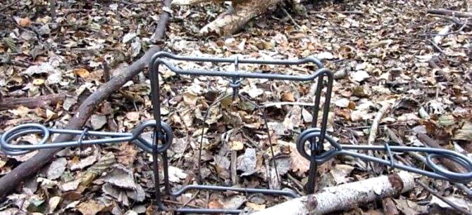 Рамочные и тарелочные капканы