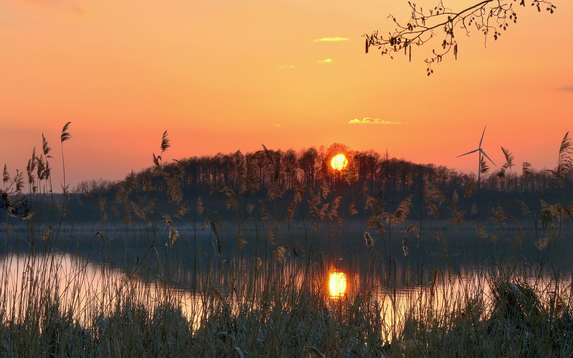 Как правильно охотится на бобра