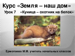 Курс «Земля – наш дом» Урок 7 «Куница – охотник на белок» Ермолаева М.М. учит