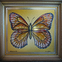 Бабочка Данаида - картина на зеркале.