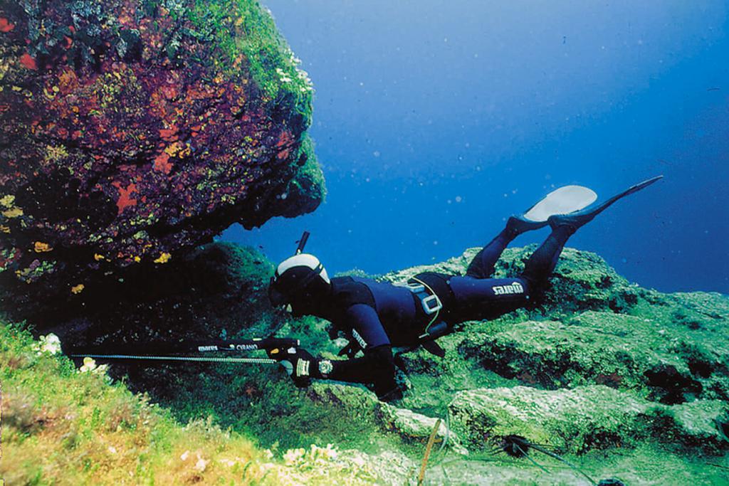 Подводный охотник в засаде.