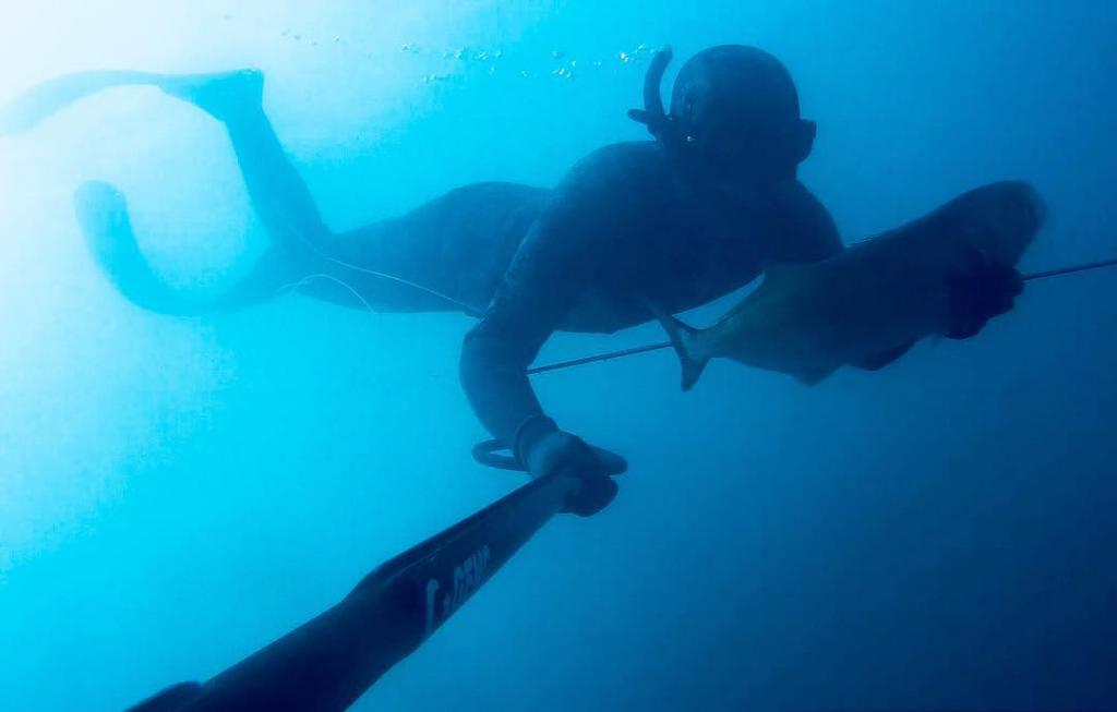 Охота под водой.