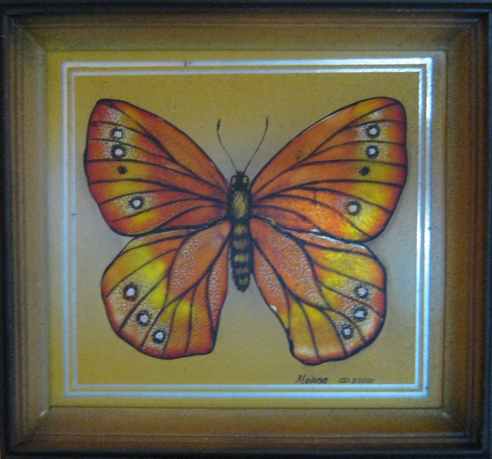 Бабочка Медуза - картина на зеркале