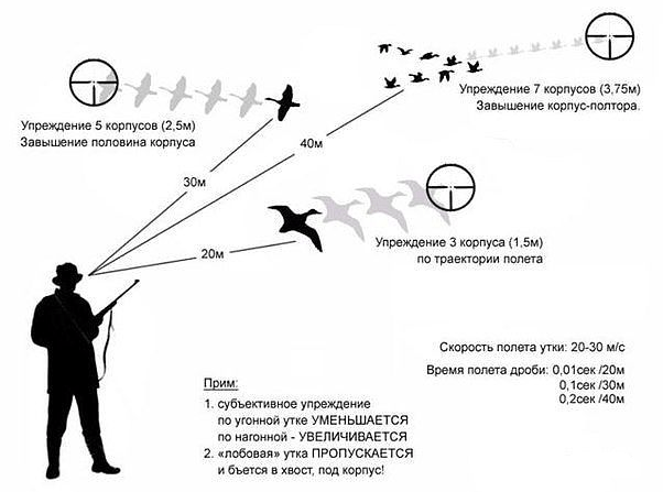 Особенности охоты с пневматической винтовкой