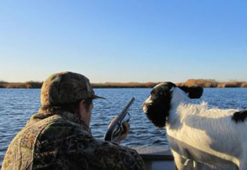 Охота на уток весной