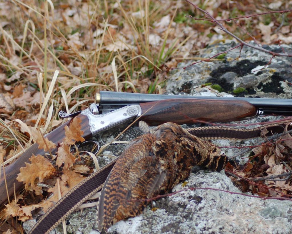 охота на вальдшнепа